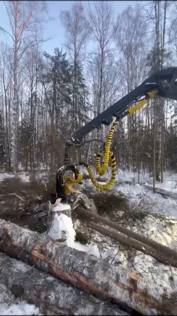 В продаже лесокомплекс Ponsse. Лизинг маркет.PRO