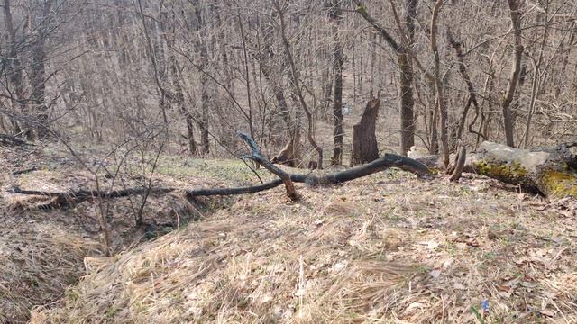 VID_20240402_091001 смотреть онлайн