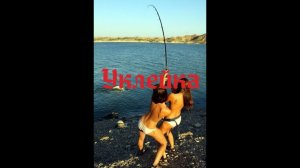 Уклейка.  Как на соревнованиях занимают первое место.  1000 уклеек.