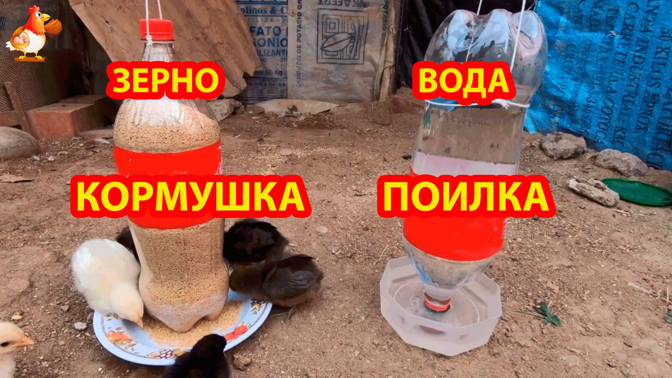 Кормушка и поилка цыплятам подвесные из 2 л бутылок и тарелочек смотреть онлайн