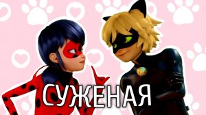 Леди Баг и Супер Кот / Суженая