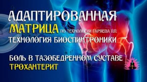 Боль в тазобедренном суставе 🎶 программа матрица по технологии Гаряева П.П ☀️ SoftRadio.ru