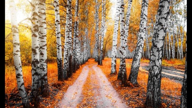 И  Бунин  Листья падают в саду #стихиобосени #стихиолюбви #поэтысеребряноговека