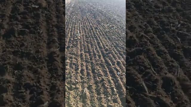Универсальная дисковая борона ЗЕВС 6HD смотреть онлайн