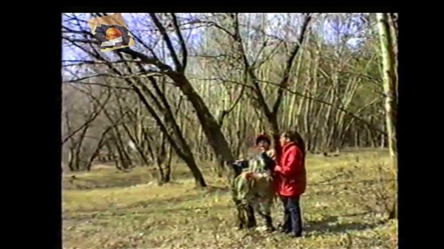 3. Весна в лесу и баба Яга