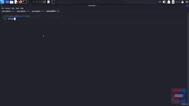 27 Finding and Attacking on Buffer Overflow Vuln 4. Generating Payloads смотреть онлайн