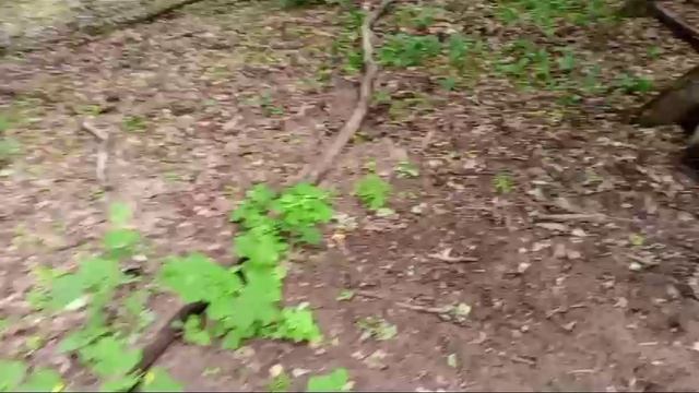 VID-20240518-WA0088 смотреть онлайн