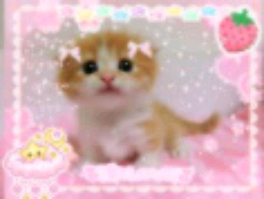 🎀!продолжение.!🎀