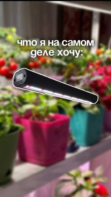 Задумалась, что же я хочу получить в подарок... 🤔 смотреть онлайн