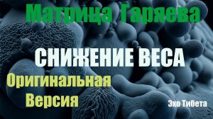 Матрица Гаряева для Снижения Веса - Оригинальная Полная Версия!!!  Улучшение Метаболизма#эхотибета