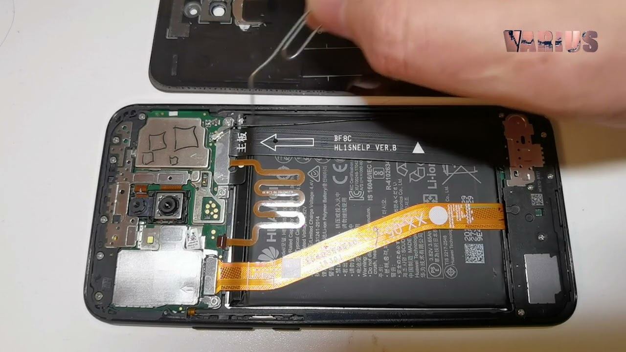 Евгений Радист