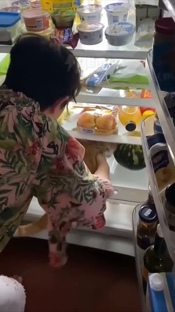 Достань дыньку смотреть онлайн