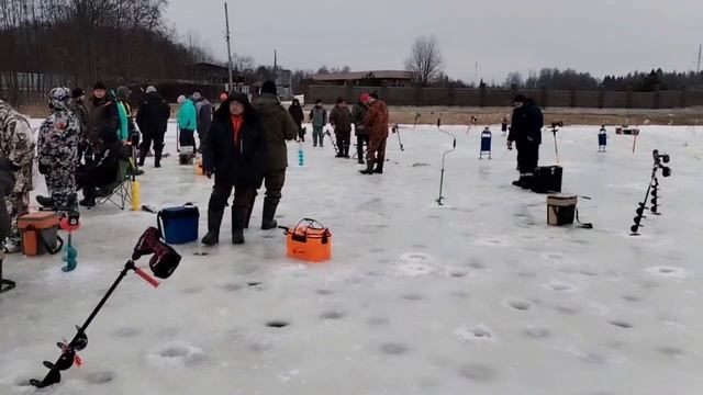 Видеоотчет с водоема смотреть онлайн