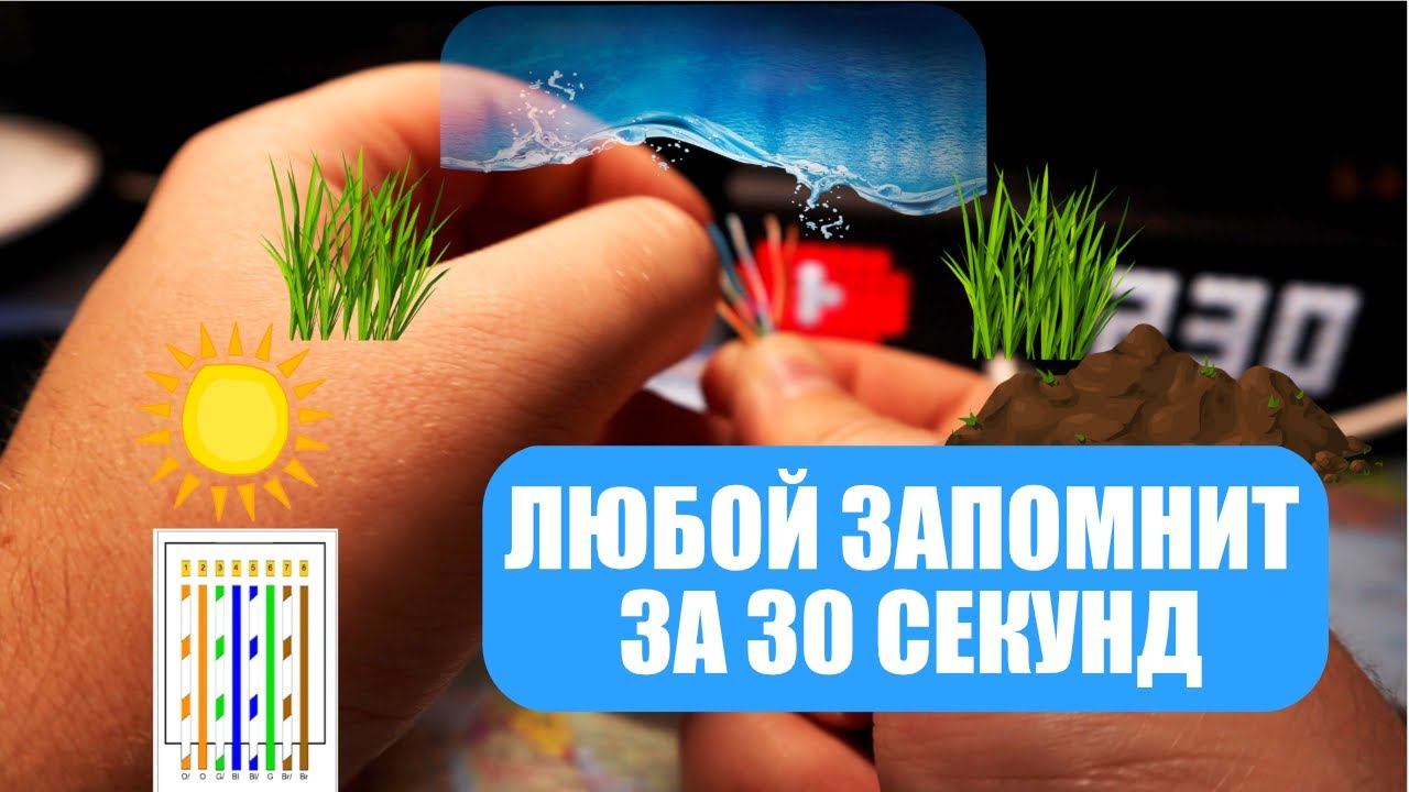 Как быстро запомнить порядок цветов витой пары rj45 смотреть онлайн