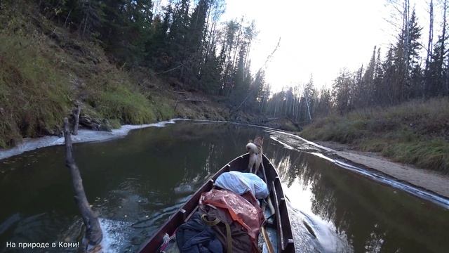 Самое сложное позади. Скоро выеду на большую речку, но ещё не знал что там меня ожидает. 14 серия смотреть онлайн