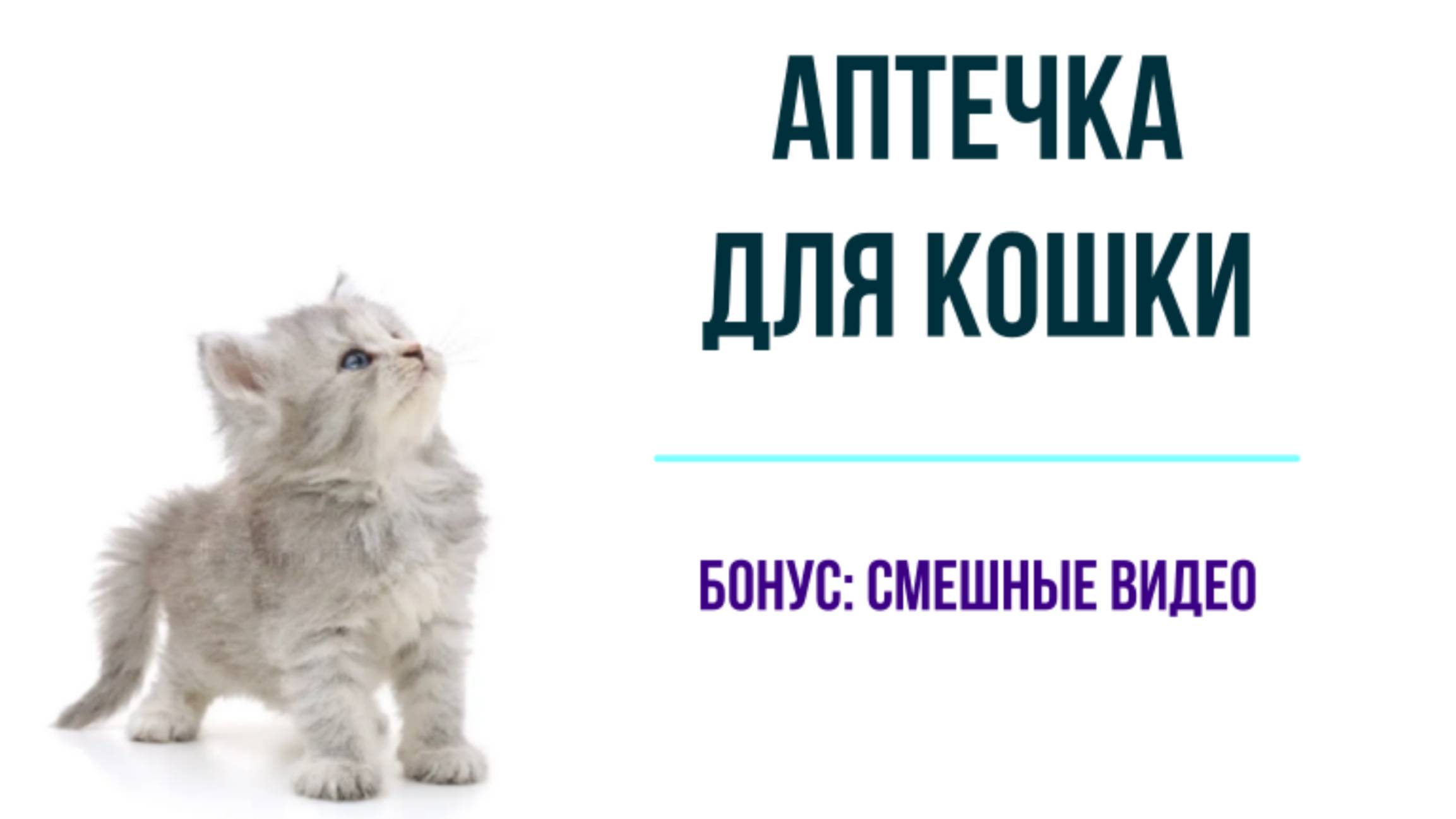 Аптечка для кошек, смешные видео кошек смотреть онлайн