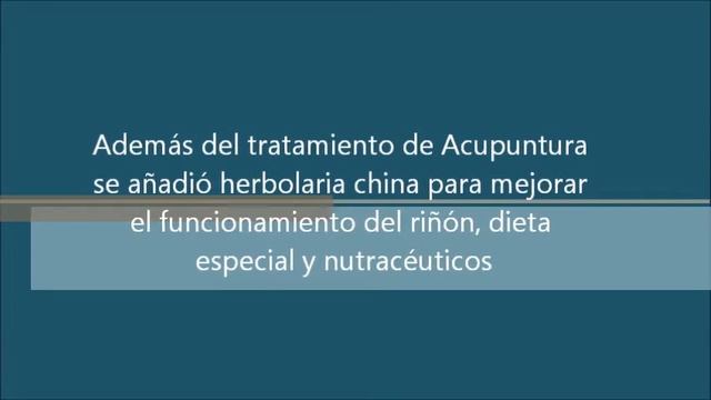 Gato con falla renal смотреть онлайн