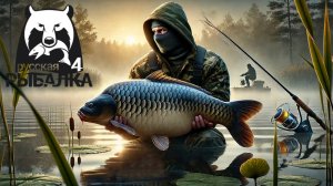 Трофейный Карась в Русской Рыбалке 4 – Где и Как Поймать? 🎣🔥