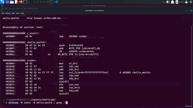 21. First but not last SHELLCODE 4. Segmentation FAULT AGAIN !!!! смотреть онлайн