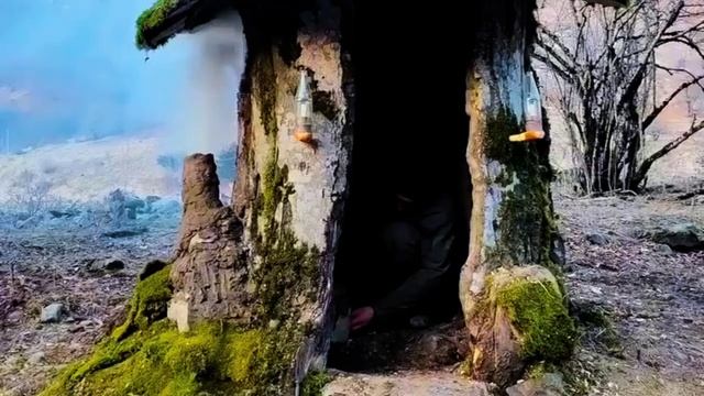 Выживание в ночи_ Секретный приют на дереве смотреть онлайн