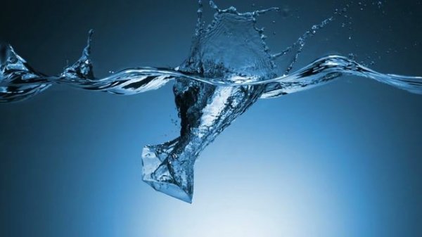 shutterstock_3166525