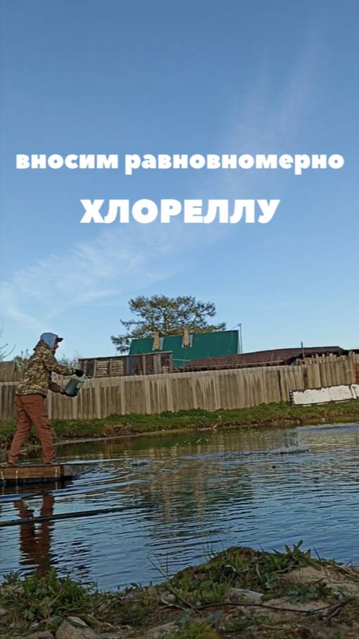 Восстановление дачного пруда часть 3 смотреть онлайн