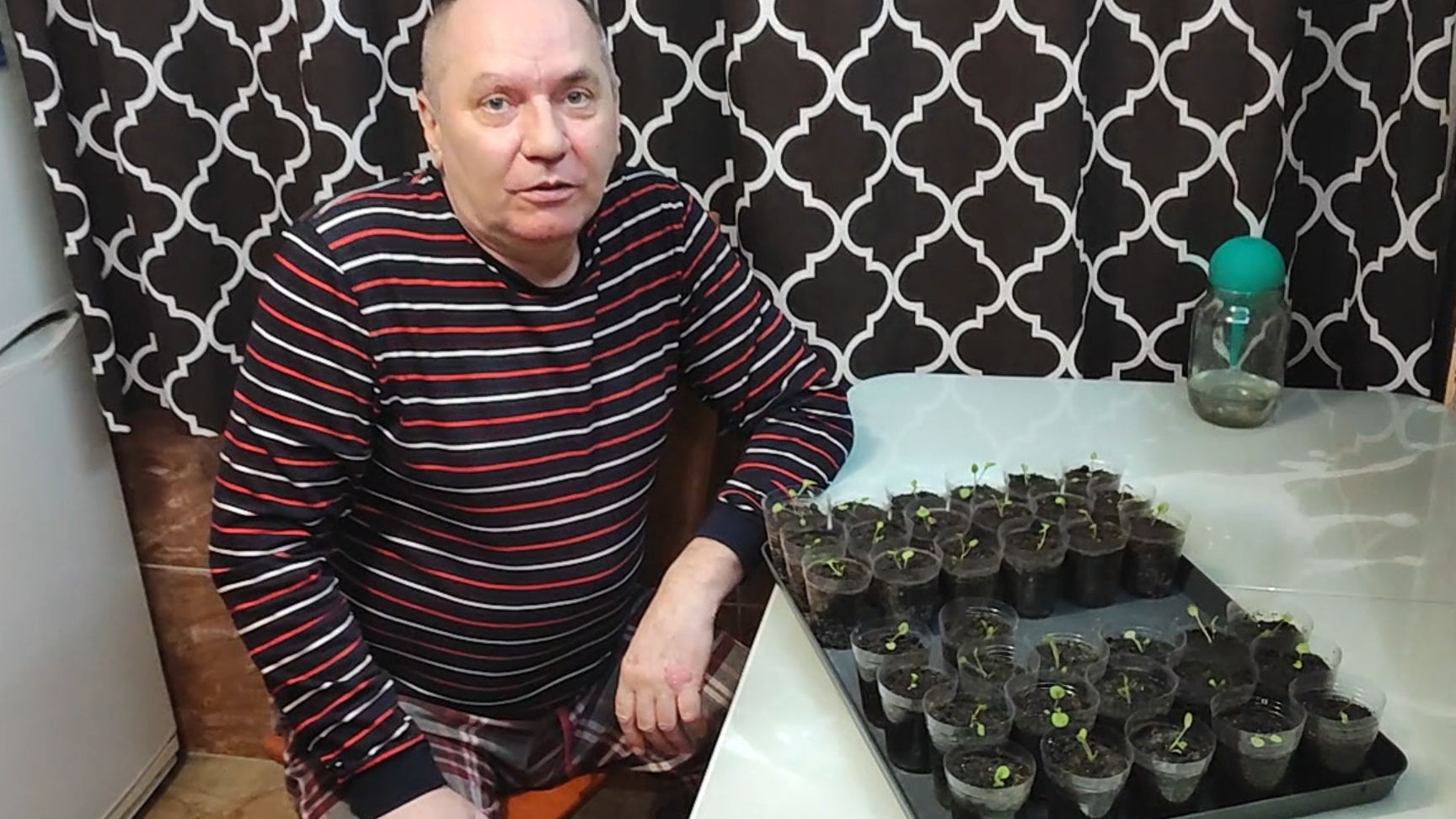 Петуньи. Пикировка очень просто. смотреть онлайн