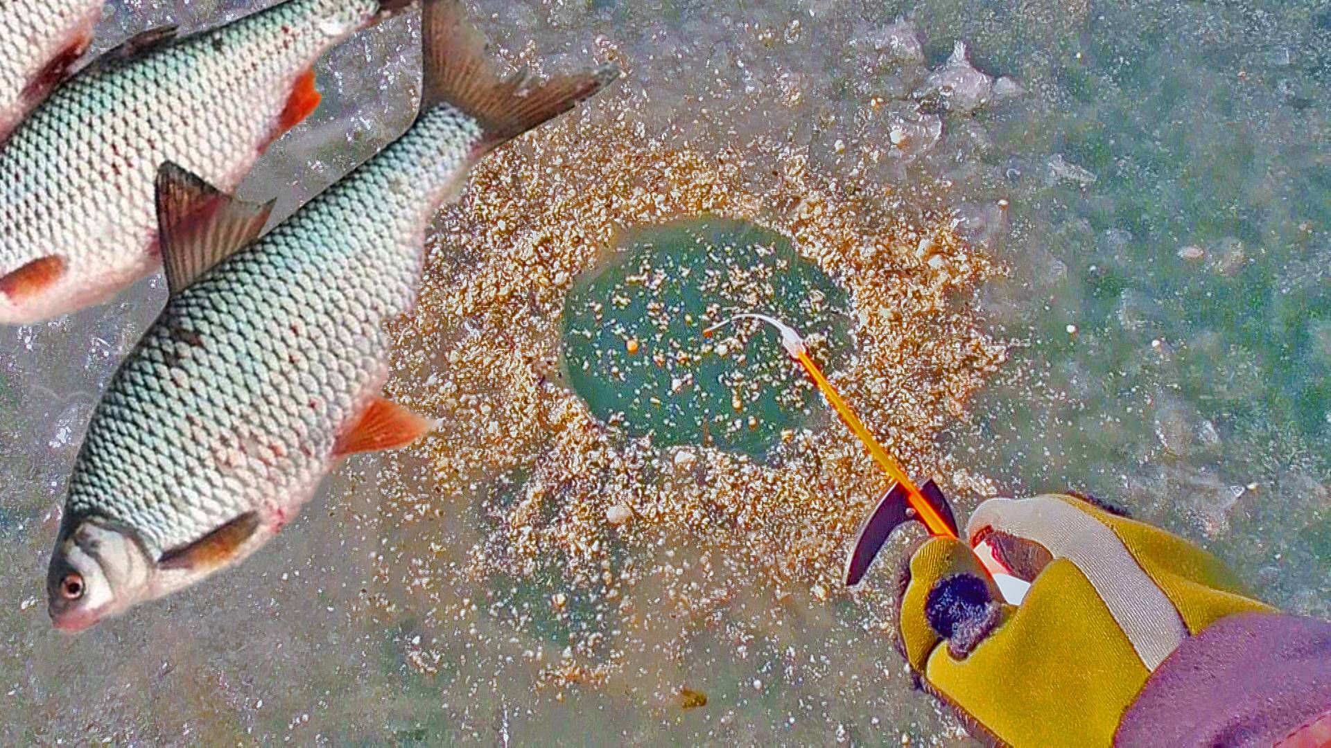 Первый лёд 2024-2025! Первая рыбалка со льда и сразу попал на бешеный клев рыбы! Зимняя рыбалка 2025 смотреть онлайн