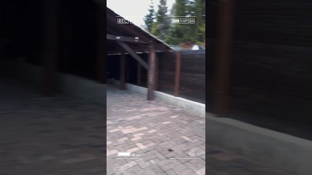 Упражнение от стресса от усталости от расстройства от переживаний смотреть онлайн