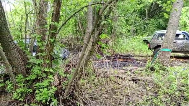 VID-20240519-WA0003 смотреть онлайн