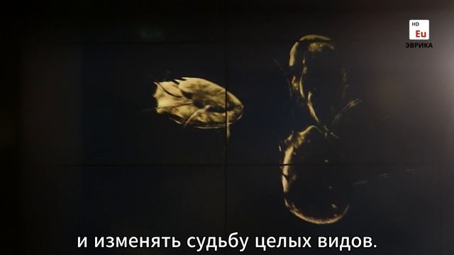 Буктрейлер к книге Эд Йонг 