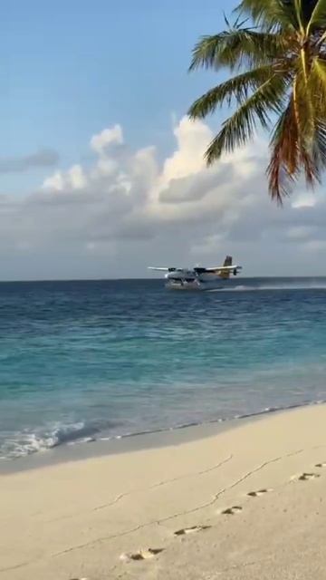 Скоро Лето, кто хочет в отпуск? смотреть онлайн