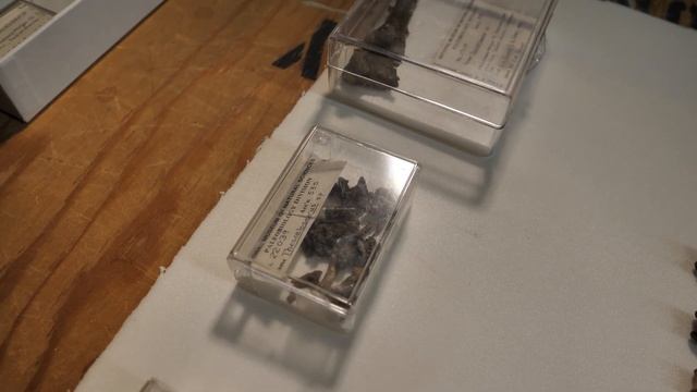 Dinosaurs! A Look at Triceratops, Pachycephalosaurus and Panoplosaurus смотреть онлайн