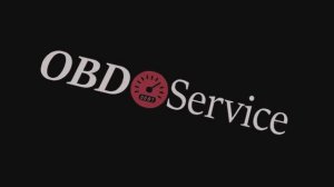 Отзыв о работе OBDServise. Услуги автоэлектрика в Санкт-Петербурге.