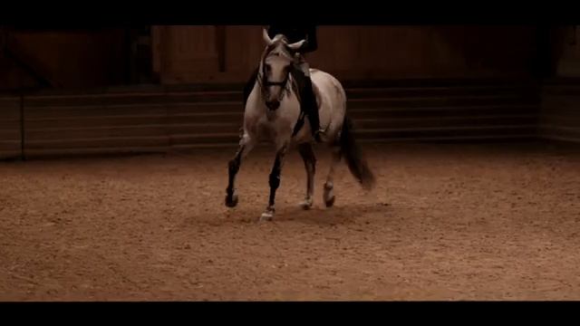 La Voie de l'écuyère - Bande-annonce (360p) смотреть онлайн