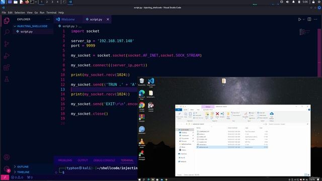 29 Developing Exploit for Real Applications 2. Debugging and Looking at Buffer смотреть онлайн
