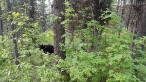 🤯 29 ВЕЩЕЙ с AliExpress, от которых ТЫ ВЫПАДЕШЬ В ОСАДОК! 🚀🔥