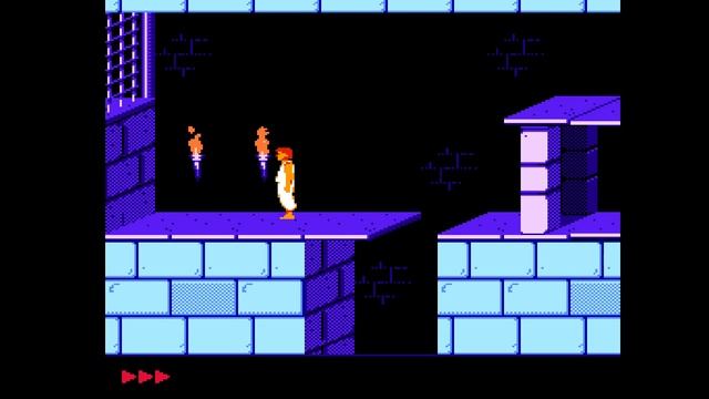 PRINCE OF PERSIA (NES)  GAME OS УБИЙЦА РЕТРО ЖЕЛЕЗА