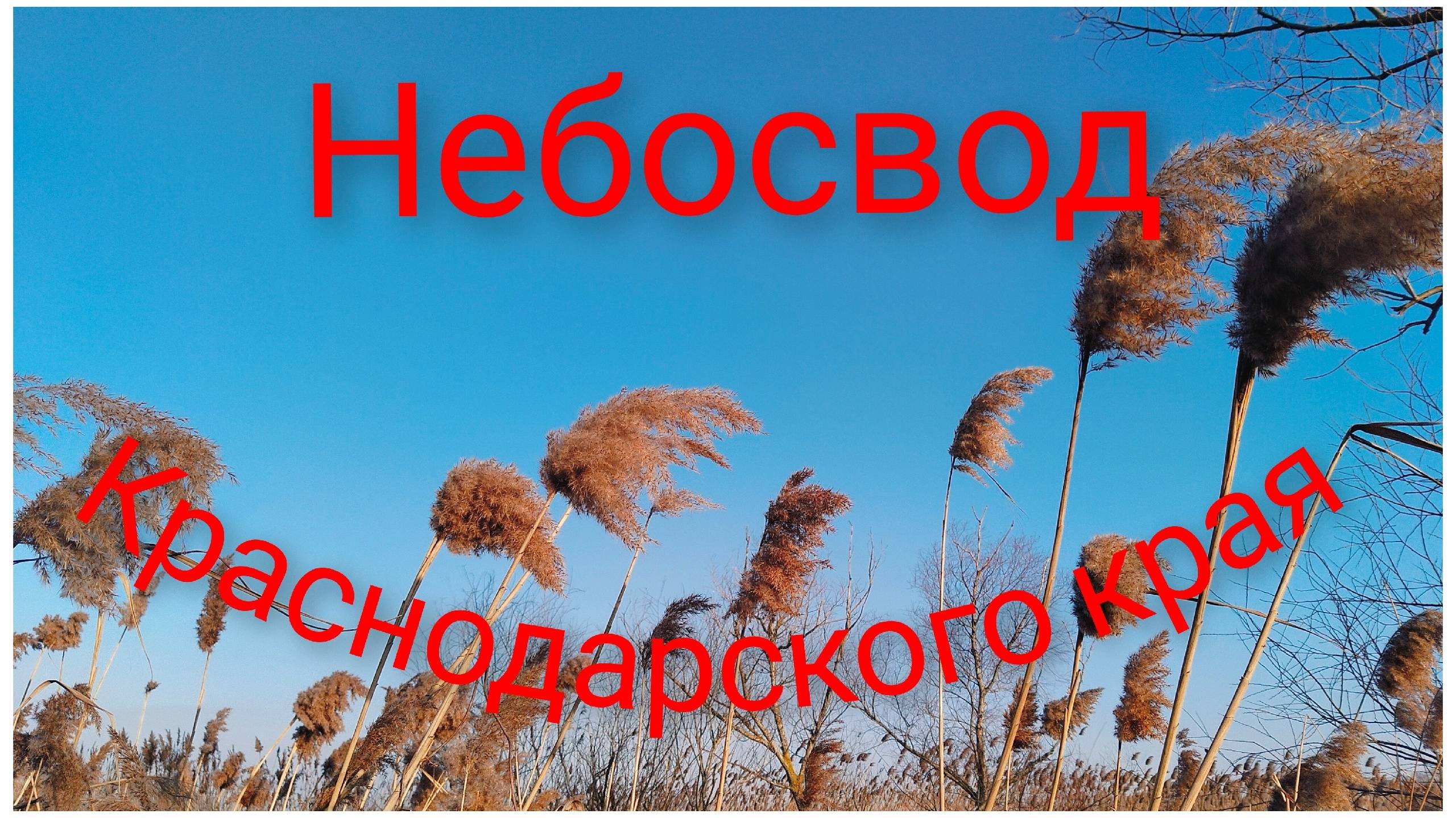 Как живётся в Краснодарском крае/Место для отдыха и релакса. смотреть онлайн