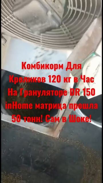 Комбикорм Для Кроликов 120 кг в Час На Грануляторе DR 150 inHome матрица прошла 50 тонн! Сам в Шоке смотреть онлайн