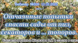 Железов Валерий. Вебинар 326. ч.1. Отчаянные попытки спасти сады от пил, секаторов и … топоров.