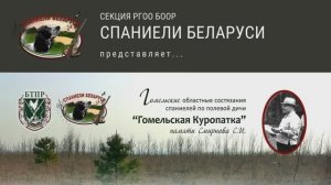 Чемпионат Беларуси Гомельская  Куропатка памяти Смирнова