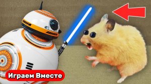 Хомяк попадет в ЛАБИРИНТ ЗВЁЗДНЫЕ ВОЙНЫ ! Лабиринт с ловушками ! Видео для детей