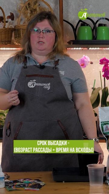 Когда сажать баклажаны? смотреть онлайн