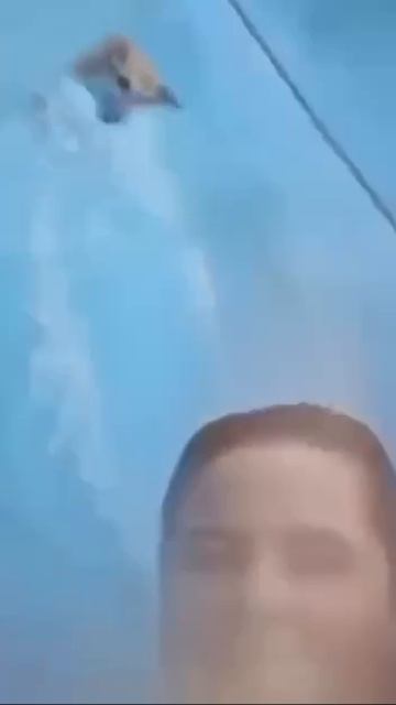 Постой, а можно я с тобой???☝️😉✌️😂😂😂 смотреть онлайн