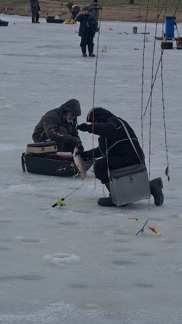 Голец смотреть онлайн