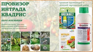 Провизор, Интрада, Квадрис- хорошие средства от болезней овощей и винограда. Обзор фунгицидов 2025