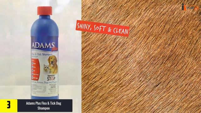 ✅ Top 5 Best Tick Repellent for Dogs Review in 2024 смотреть онлайн