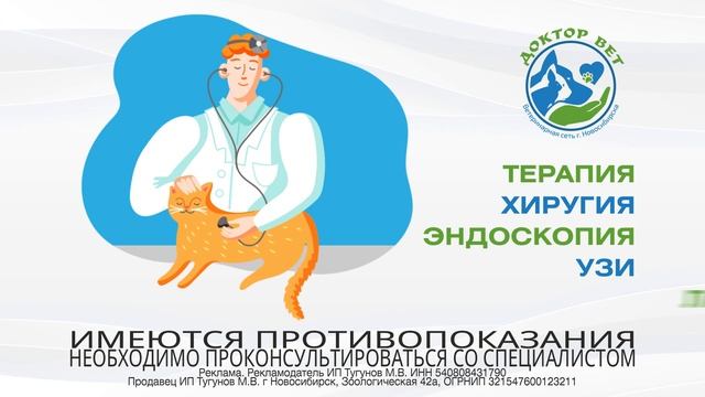 Доктор Вет ветеринарная сеть г. Новосибирска