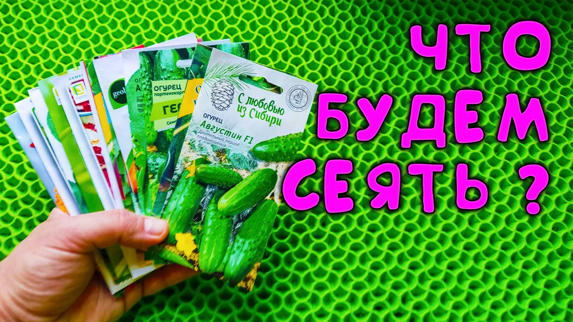 Обзор семян 🌱 Вот что купили на посадку в этом году: цветы🌼 овощи🍅 зелень 🌿 смотреть онлайн